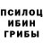 Галлюциногенные грибы Psilocybe fcsuper