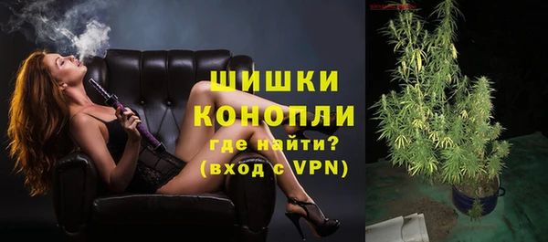 ПСИЛОЦИБИНОВЫЕ ГРИБЫ Бородино