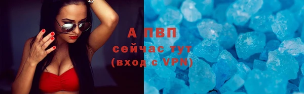 ПСИЛОЦИБИНОВЫЕ ГРИБЫ Бородино