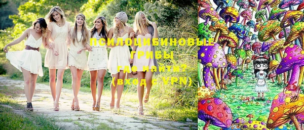 ешки Бронницы