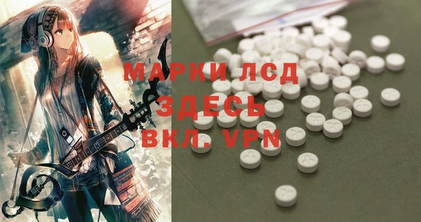 ешки Бронницы