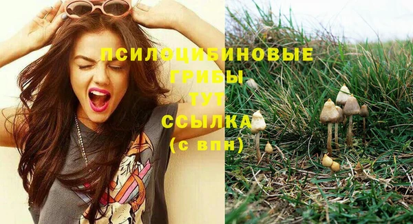2c-b Бугульма