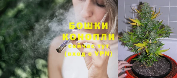 ешки Бронницы