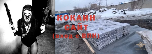 ПСИЛОЦИБИНОВЫЕ ГРИБЫ Бородино