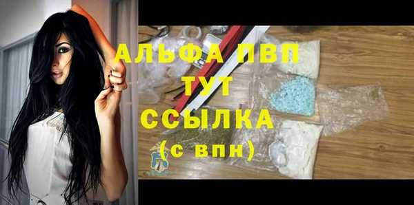 ПСИЛОЦИБИНОВЫЕ ГРИБЫ Бородино