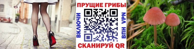Псилоцибиновые грибы мухоморы  Купить  Североморск 